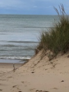 dune new beach dune 1