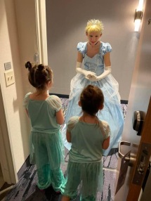 USE Cinderella Goodnight Princess at door