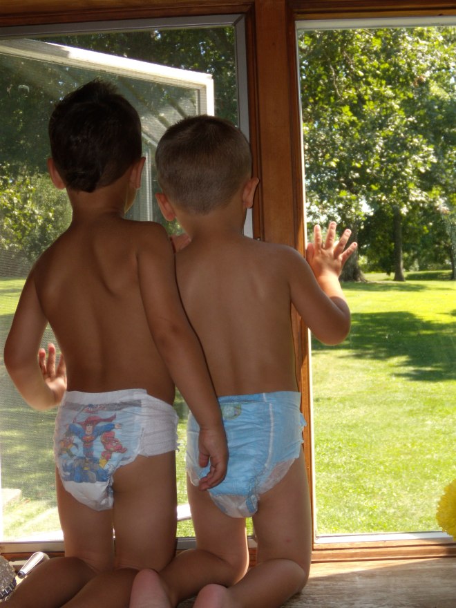 brodie ethan window diapers