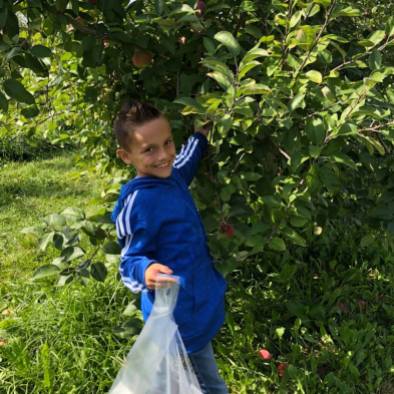 USE ethan picking apple