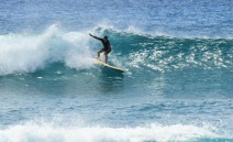 SURF 1